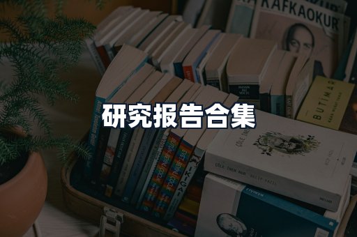 研究报告合集